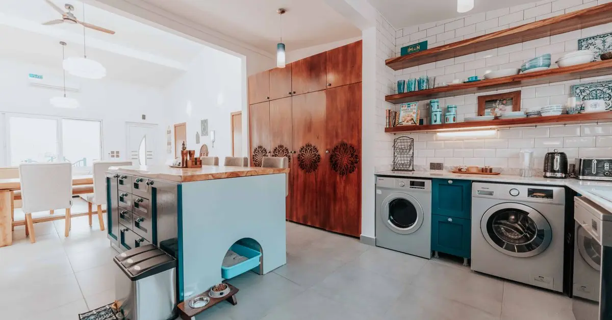 The Impact of Energy-Efficient Appliances on Your Home