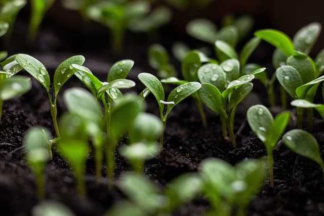 Top Appliance Trends to Watch for Eco-Friendly Homes
