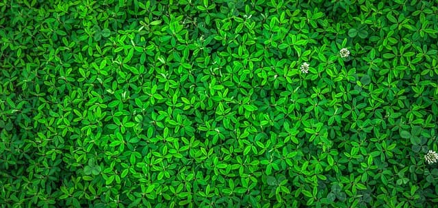 Top Appliance Trends to Watch for Sustainable Living