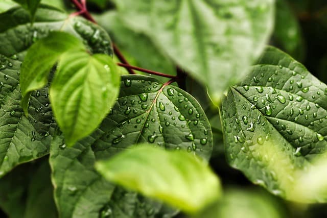 Top Trends in Eco-Friendly Appliances to Embrace Now